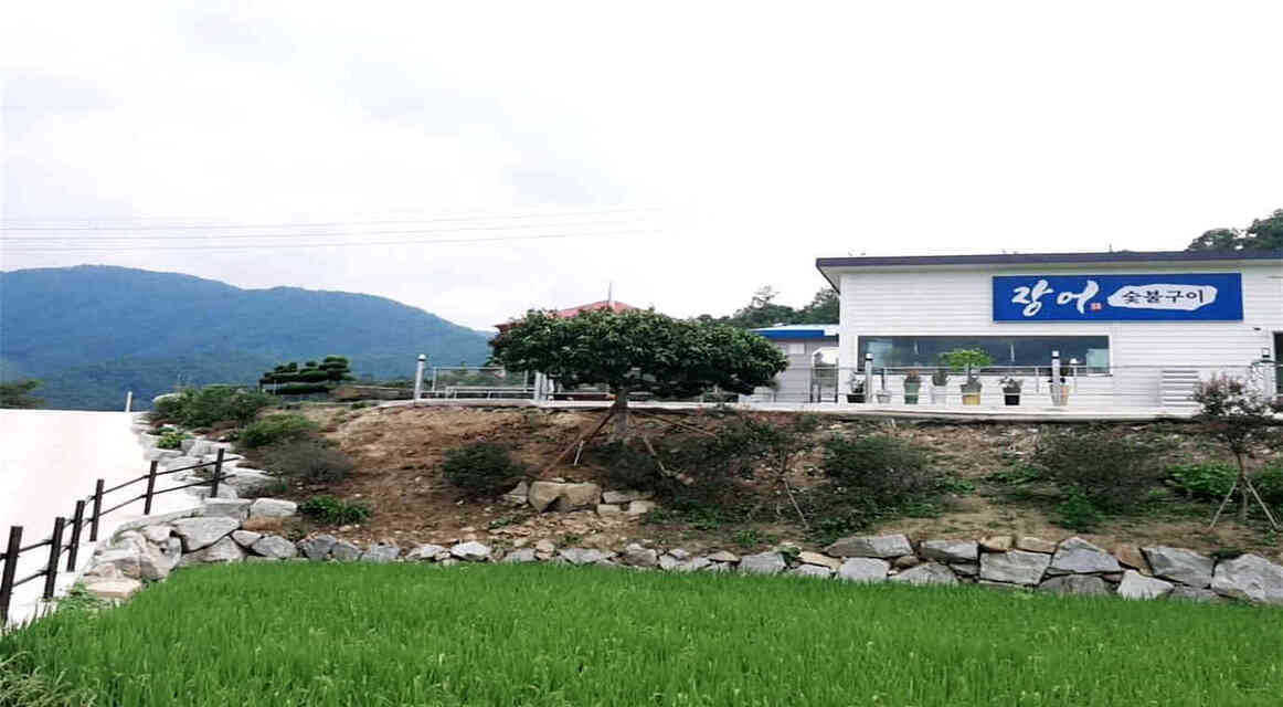 도림장어