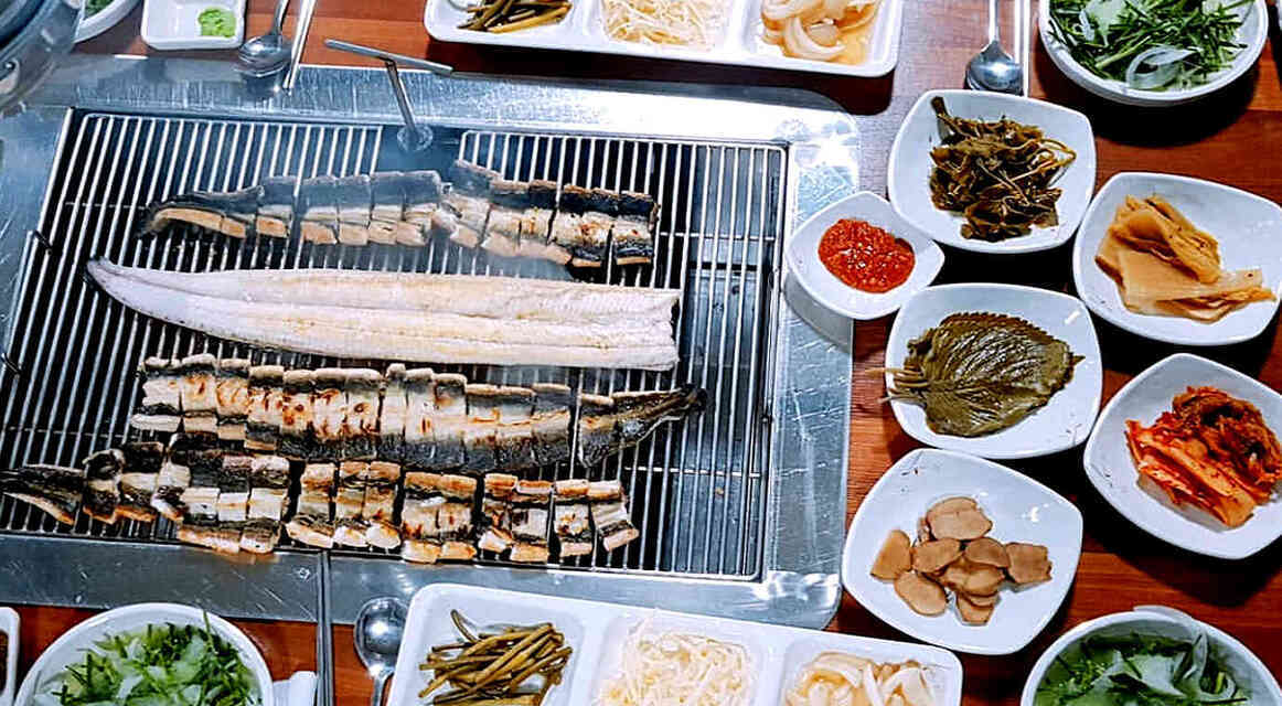 도림장어