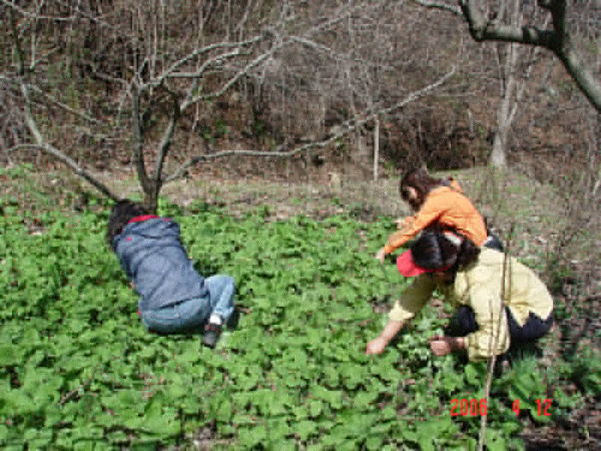 상한농촌체험휴양마을(하늘나리)