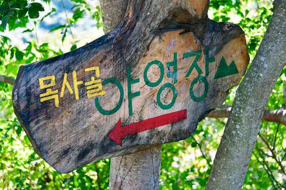 야영