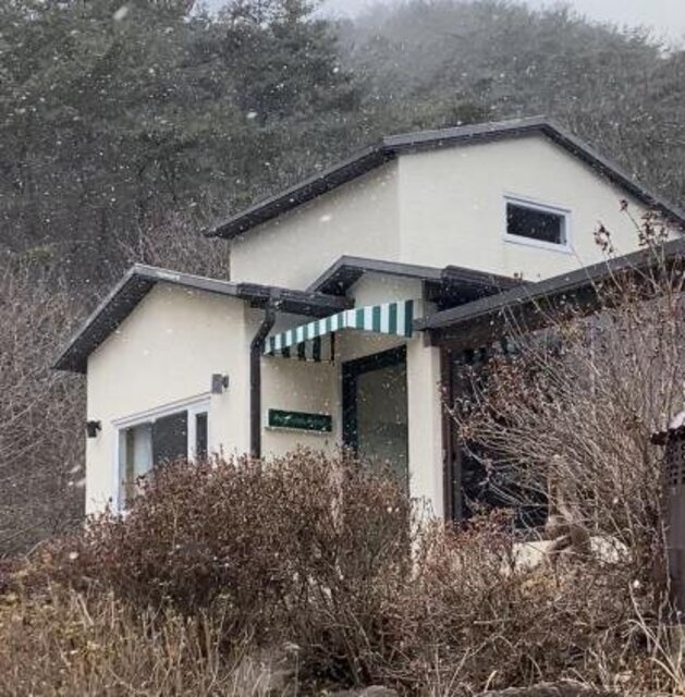 대표사진